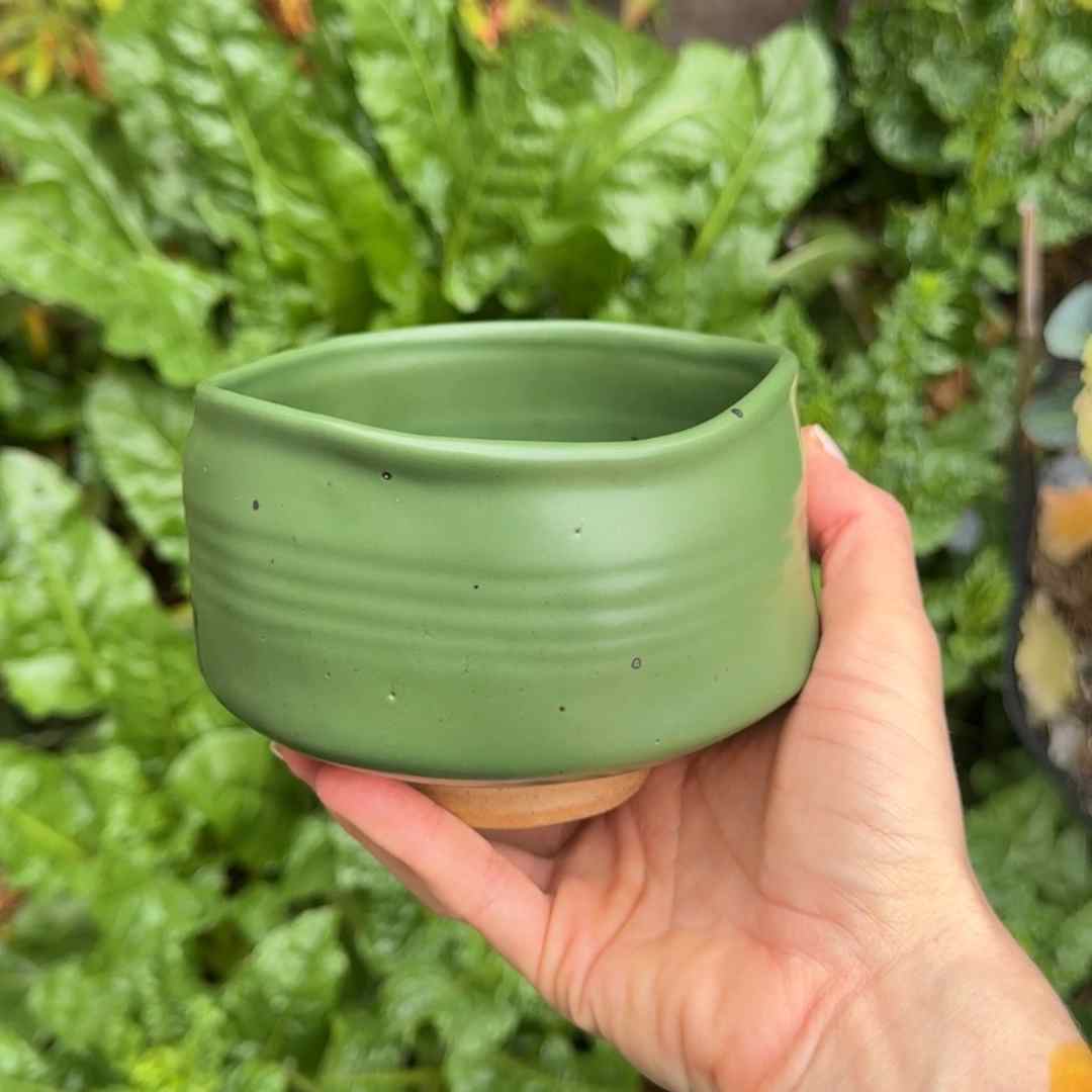 Hand holding a green ceramic pot against a background of green plants