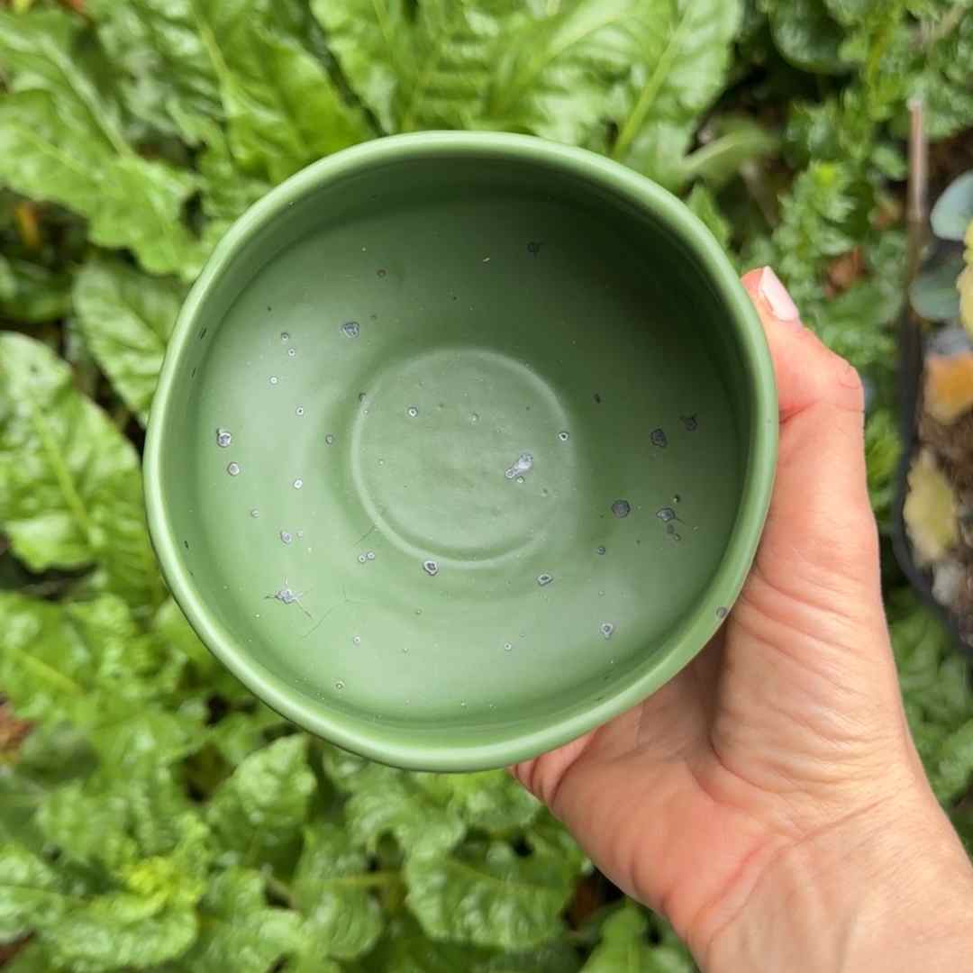 Hand holding a green ceramic bowl against a background of green plants