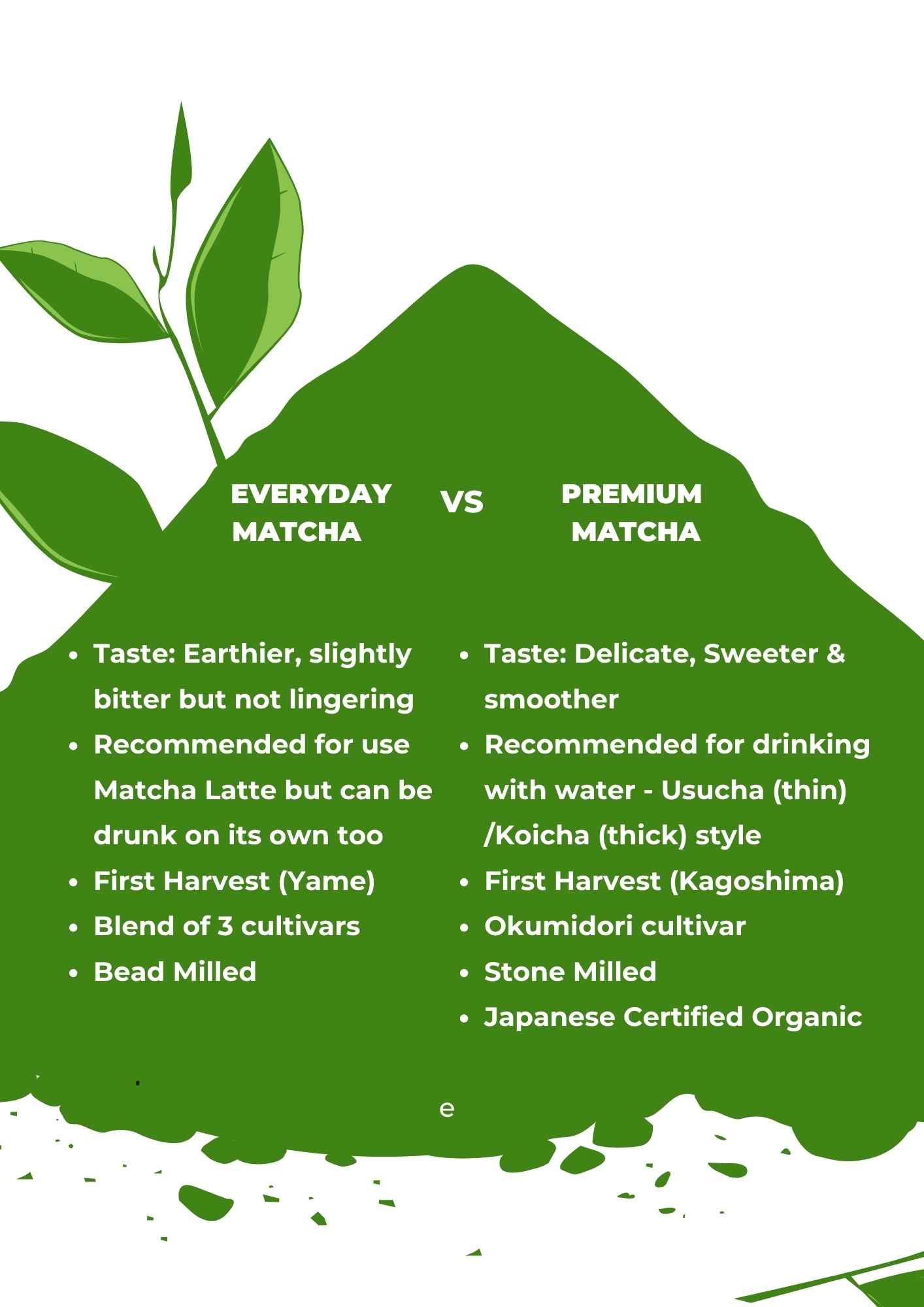 Difference between Everyday and Premium Matcha
