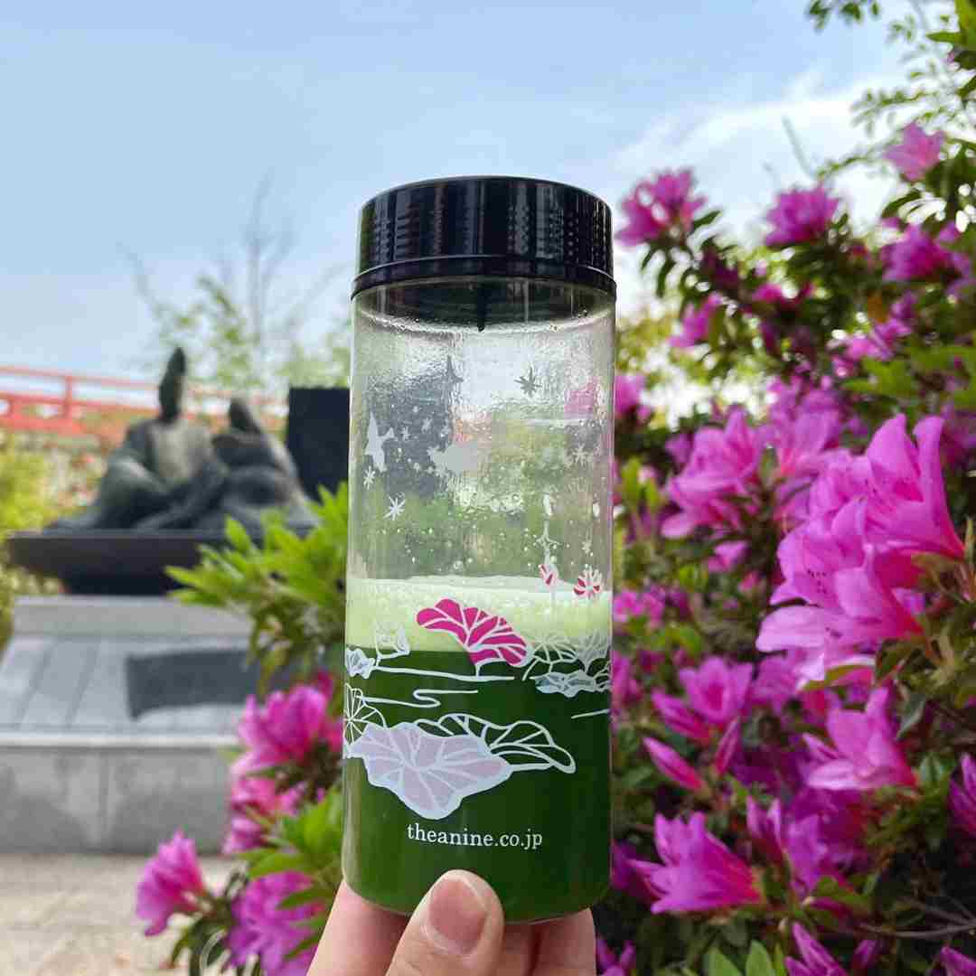 Everyday Matcha Shaker Set