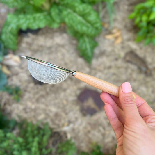 Matcha Tea Sieve
