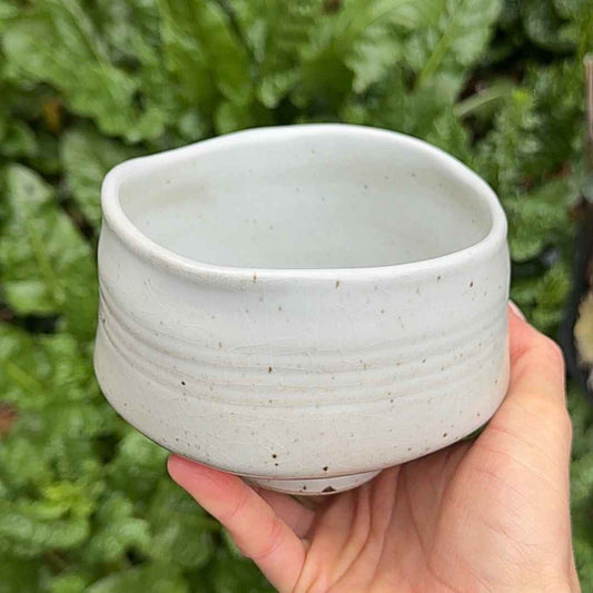 Hand holding a light gray ceramic bowl against a green leafy background