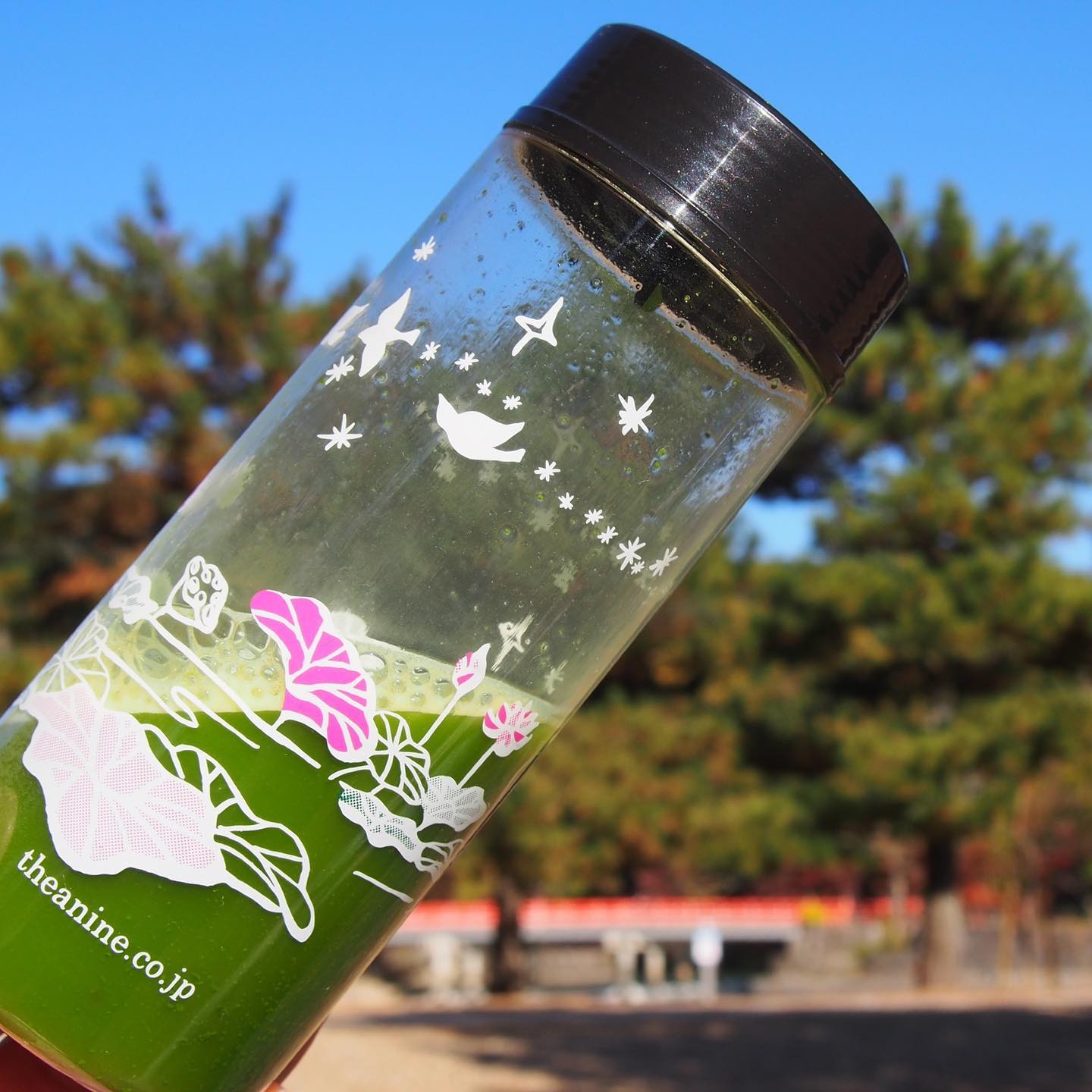 Matcha Tea Shaker Accessories Matcha Yu