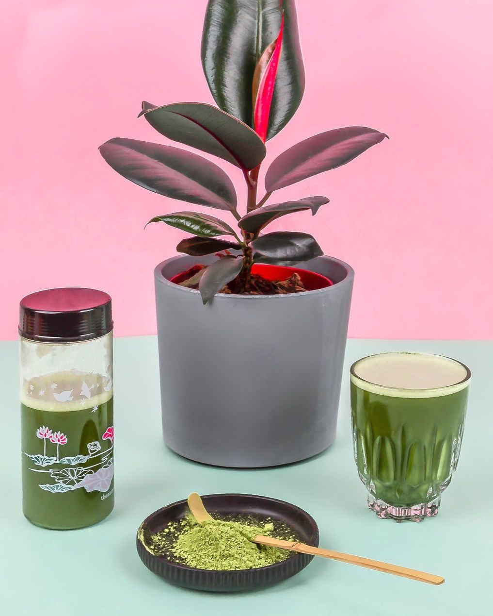 Tea Shaker Accessories Matcha Yu