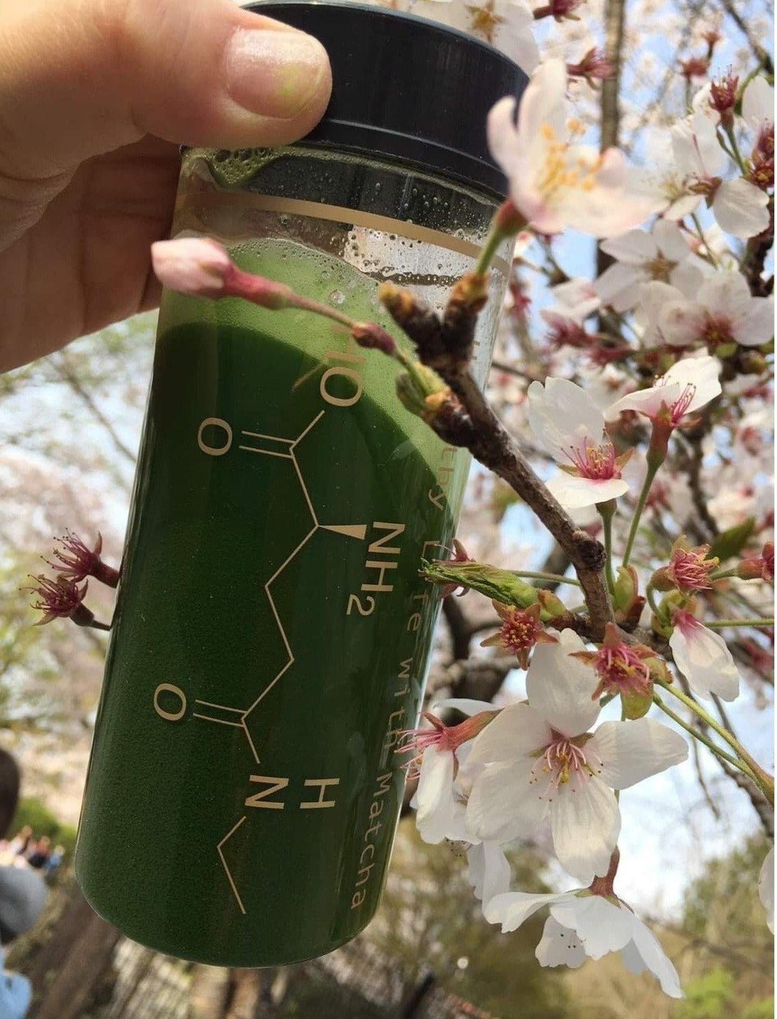 Tea Shaker Accessories Matcha Yu