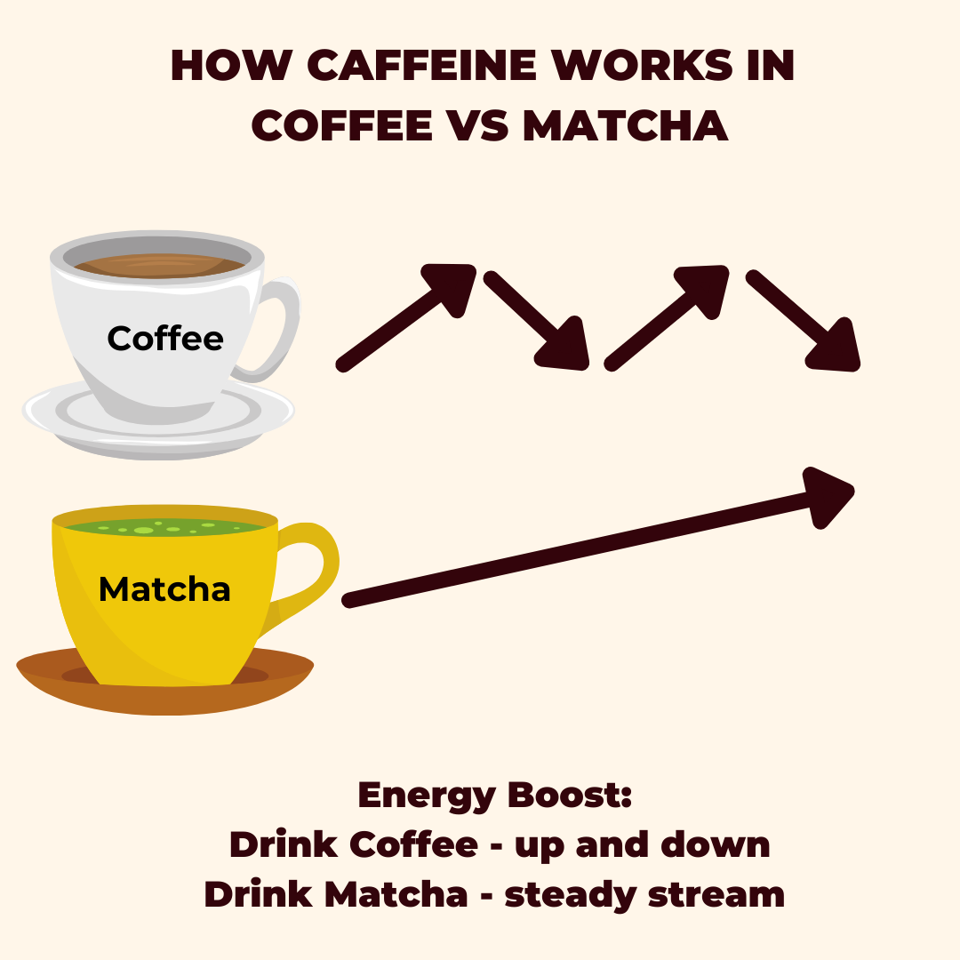 How Caffeine Works in Coffee VS Matcha