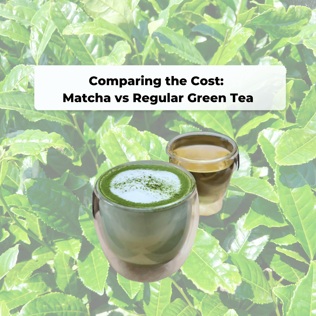 Comparing the Cost: Matcha vs Regular Green Tea