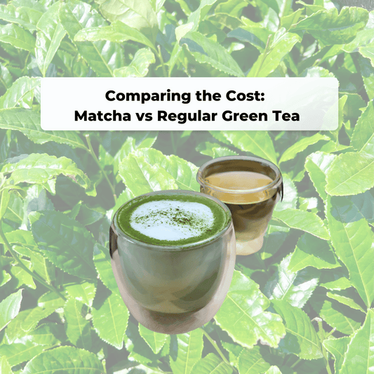 Comparing the Cost: Matcha vs Regular Green Tea