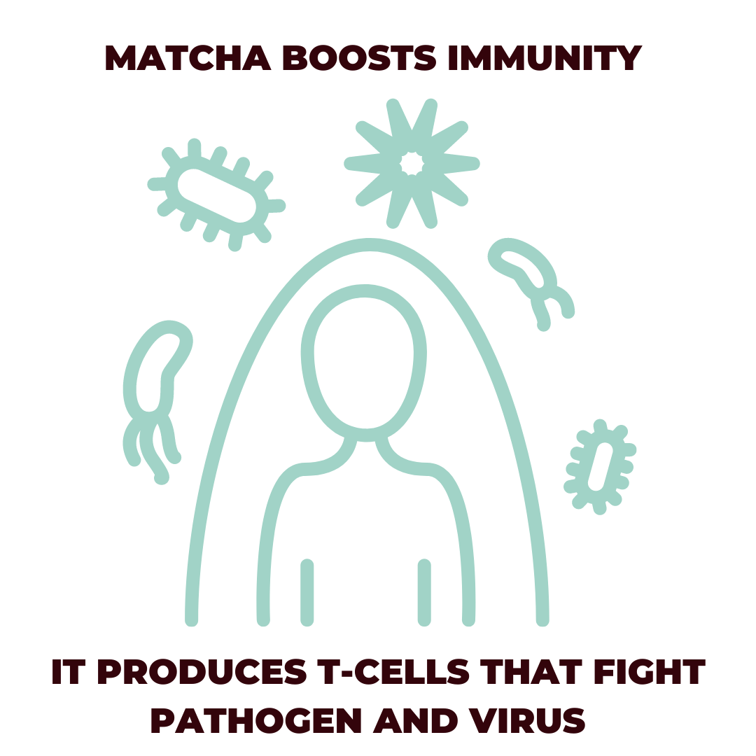 Matcha and Coronavirus - the superfood to supercharge your immunity!
