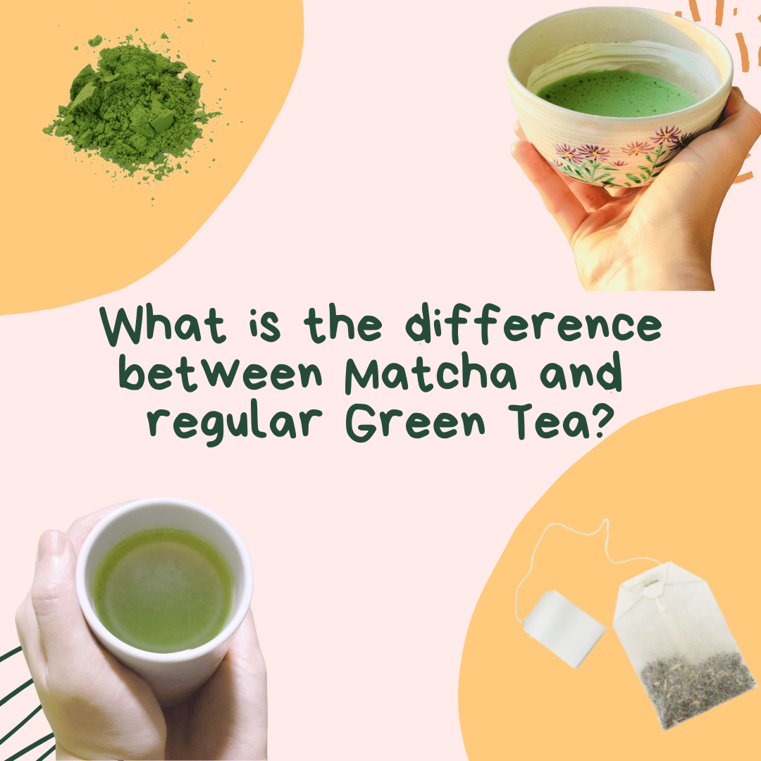 What is the difference between Matcha and regular Green Tea?
