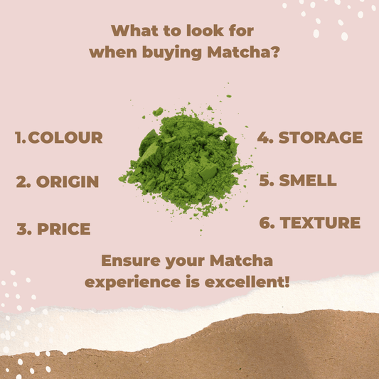 6 things to look for when buying Matcha Green Tea Powder