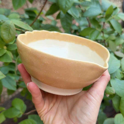 Matcha Wave Bowl (5 colours available)