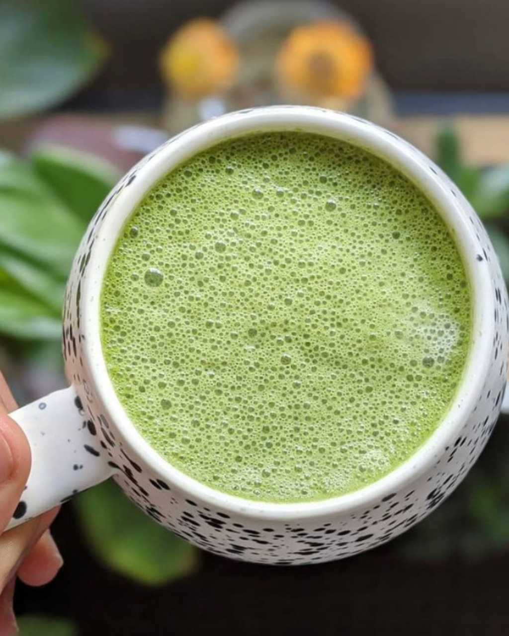 Organic Matcha Green Tea Latte