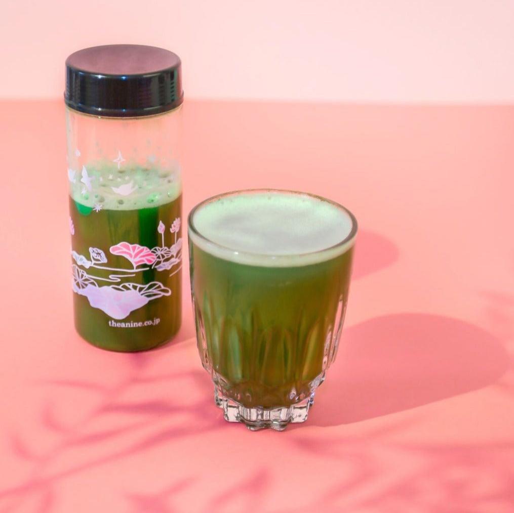 PREMIUM Matcha Tea Shaker Set Tea Shaker Set Matcha Yu 